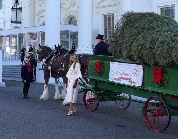 (VIDEO) The Most Wonderful Time of Year Kicks Off at the White House! Prva dama Amerike Melania Trump izgleda svečano dok prima božićno drvce Bijele kuće