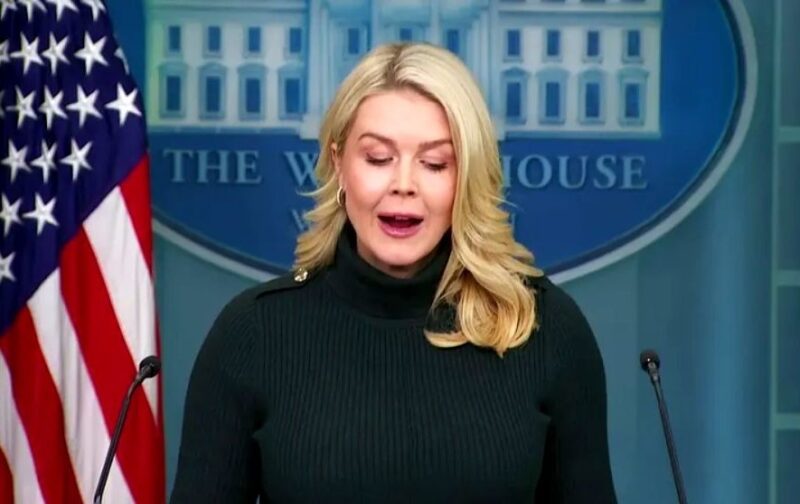 (VIDEO) White House Calls for Unity and “Law and Order” in Minnesota! Karoline Leavitt poziva Walza i Freya da ‘puste policajce da budu policajci’!